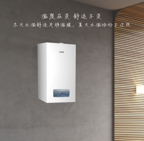 燃气壁挂炉十大排名第一竟是她