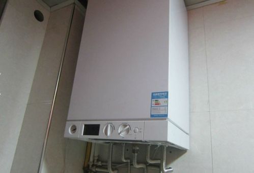 燃气壁挂炉的排烟管可以接在家里单独的排气管道里吗